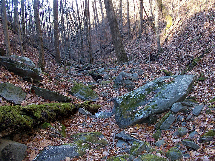 View from Grassy Gap Trail