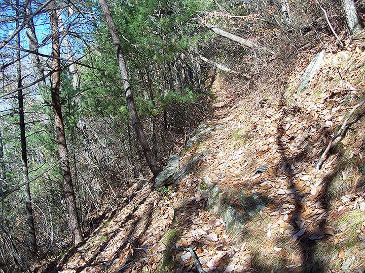 Grassy Gap Trail
