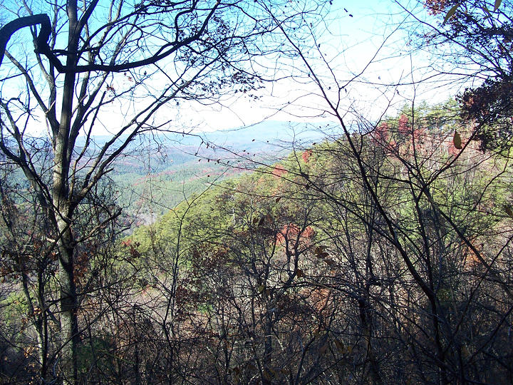 Grassy Gap Trail Junction