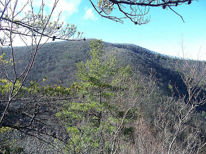 View of Big Frog Summit from Licklog Ridge Trail