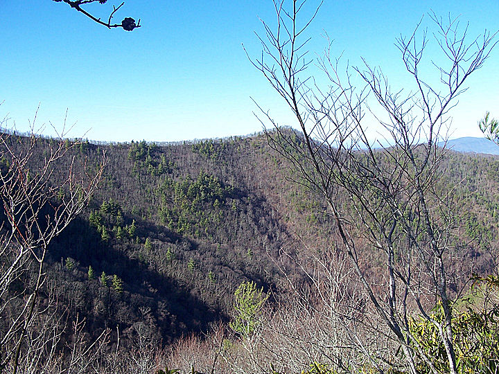 View from Licklog Ridge Trail