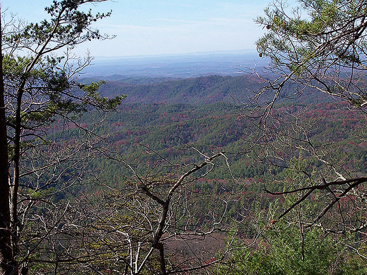View from Wolf Ridge Trail