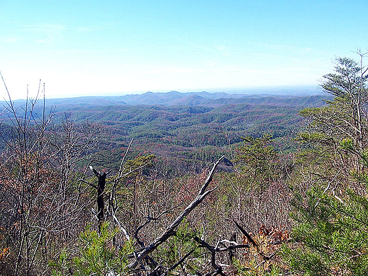 View from Wolf Ridge Trail